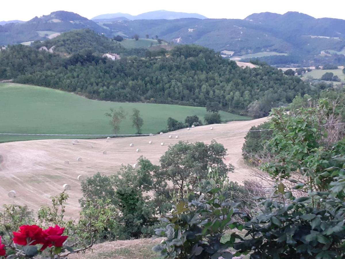 Ca' Gulino - Urbino - Villa Con Minipiscina In Borgo Antico מראה חיצוני תמונה