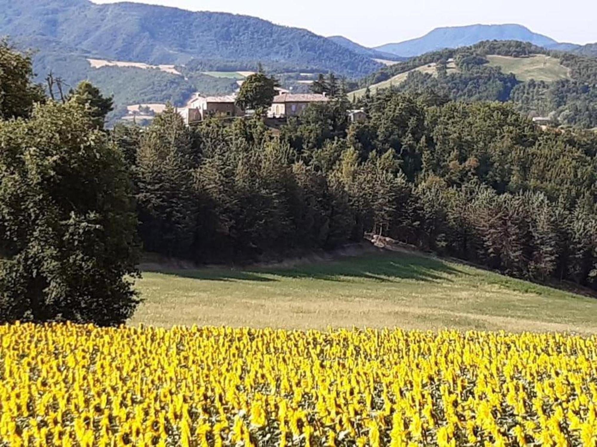 Ca' Gulino - Urbino - Villa Con Minipiscina In Borgo Antico מראה חיצוני תמונה